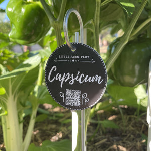 Capsicum